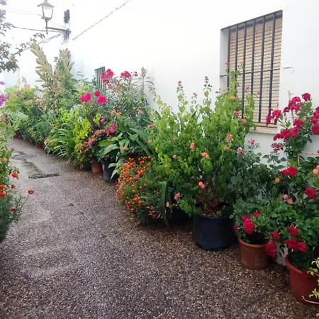 Casa Sebastiana Moderno Con Terraza Y Vistas Al Mar, Ideal Parejas Апартаменти Коніль-де-ла-Фронтера