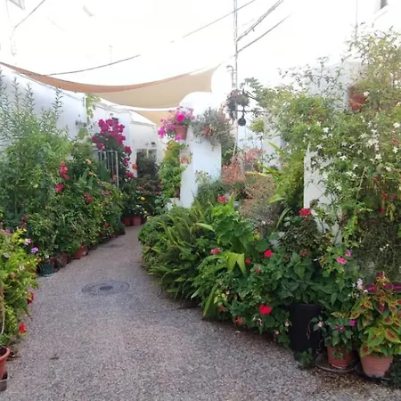 Апартаменти Casa Sebastiana Moderno Con Terraza Y Vistas Al Mar, Ideal Parejas