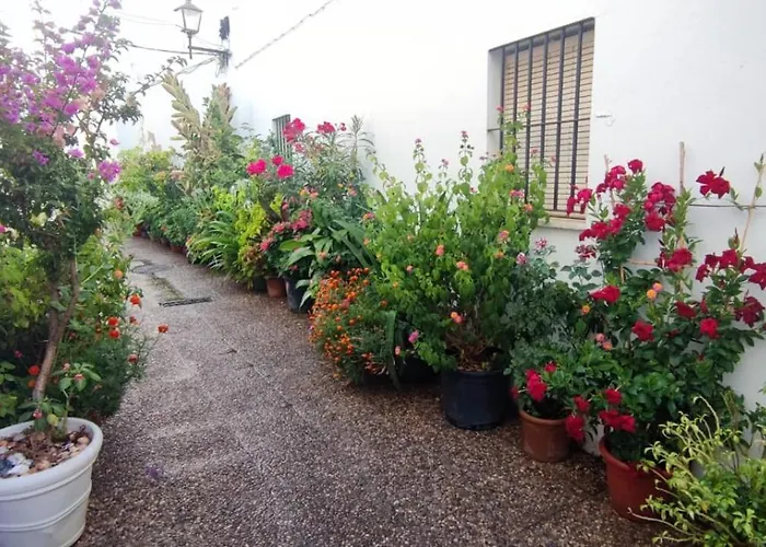 Casa Sebastiana Moderno Con Terraza Y Vistas Al Mar, Ideal Parejas Apartman Conil de la Frontera